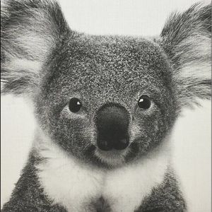 Meet your Posher, Mimi